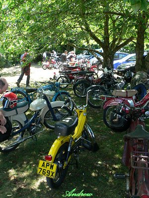 Mopeds under the trees at Waldringfield