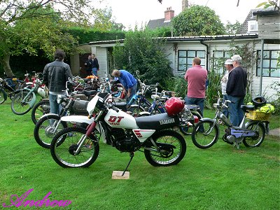 Some of the bikes