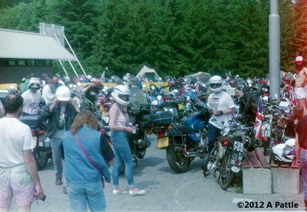 1991 FIM rally