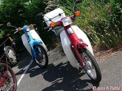 A Pair of Honda Cubs