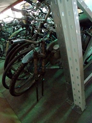 A line of bike