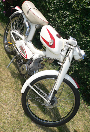 Raleigh RM12