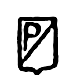 Piaggio shield