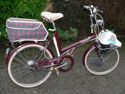 Tas Spitz & Raleigh 20