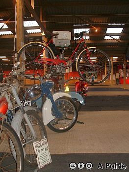 Copdock Show, 2003