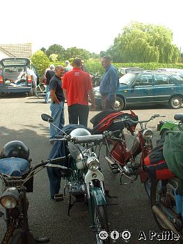 Peninsularis Run. 2004