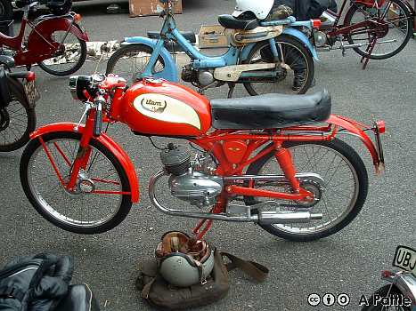 Peninsularis Run. 2004