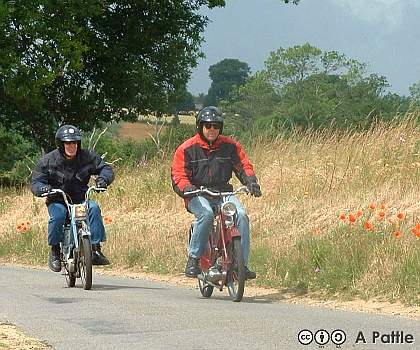 Peninsularis Run. 2004