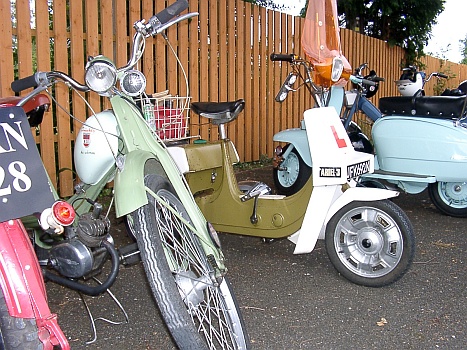 Peninsularis Run. 2004