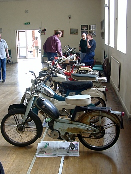 Peninsularis Run. 2004