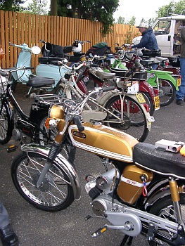 Peninsularis Run. 2004