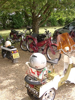 Peninsularis Run. 2004