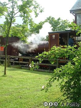 NACC CtC Ride, Alston