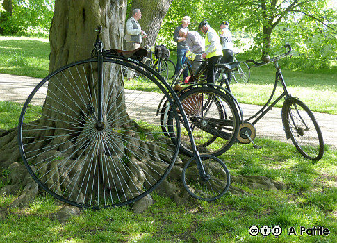 Howe ‘penny’ and James tricycle in Christchurch Park, Ipswich
