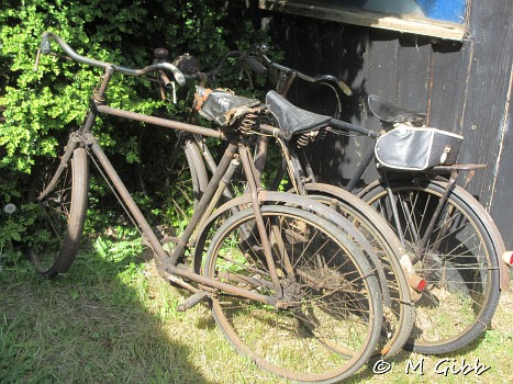 Bicycles at Sweffling Bygones Museum Open Day