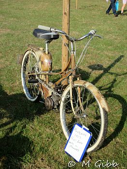 Henham Steam Rally