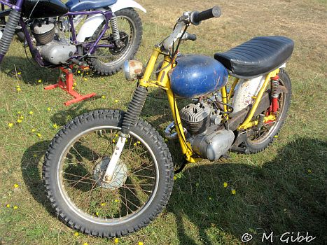 Henham Steam Rally