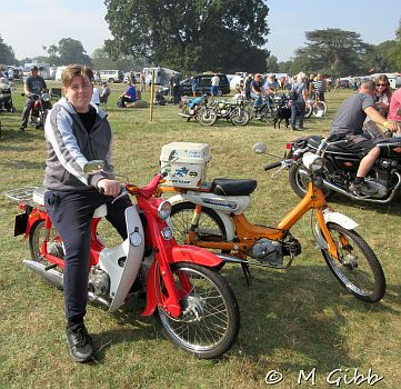 Henham Steam Rally