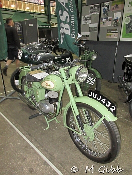 Stafford Show, 2025