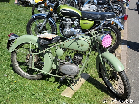 Stafford Show, 2025