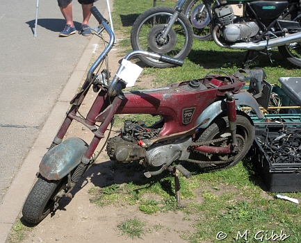 Stafford Show, 2025