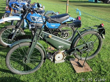 Henham Steam Rally