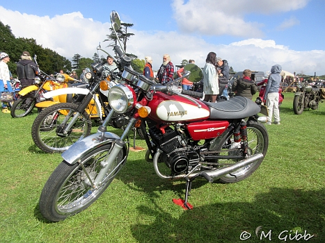 Henham Steam Rally