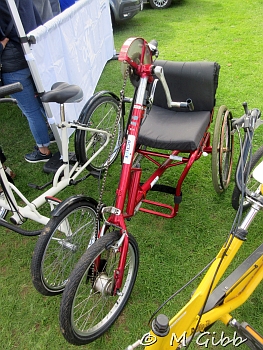 Henham Steam Rally