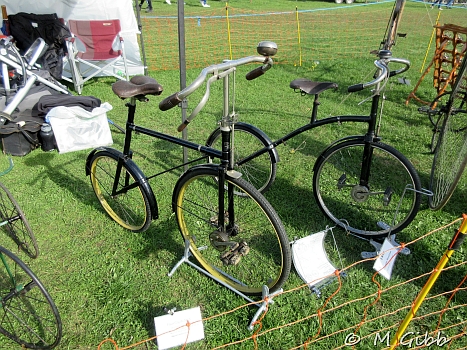 Henham Steam Rally