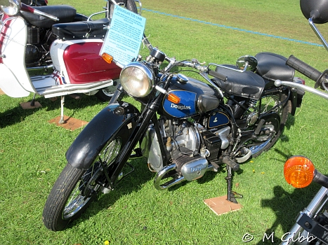 Henham Steam Rally