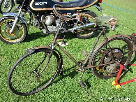 Henham Steam Rally