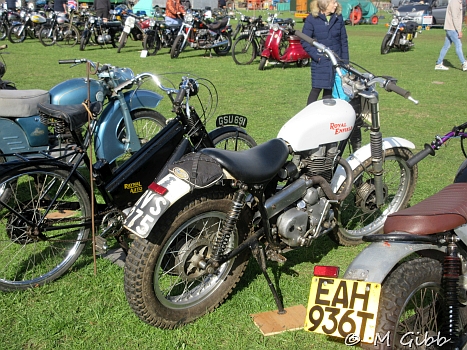 Henham Steam Rally