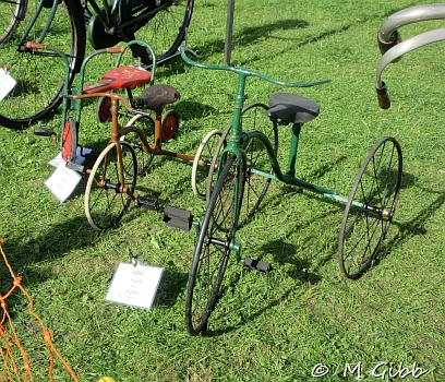 Henham Steam Rally