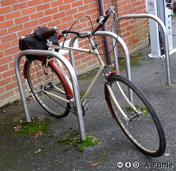 EACC Kneels Wheels Run