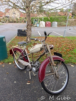 EACC Kneels Wheels Run