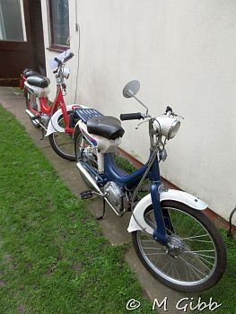 ECP Cold Turkey Run, 2025