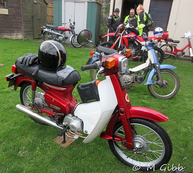 ECP Cold Turkey Run, 2025