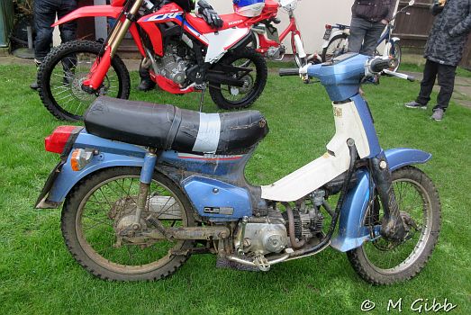 ECP Cold Turkey Run, 2025