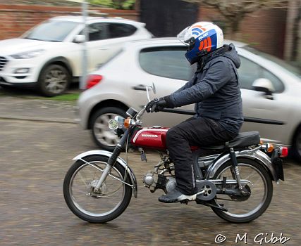 ECP Cold Turkey Run, 2025