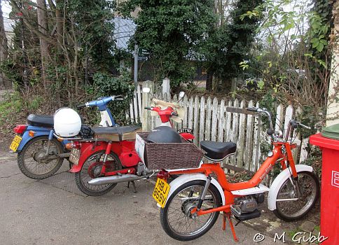 ECP Cold Turkey Run, 2025