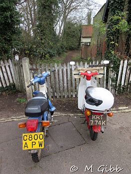 ECP Cold Turkey Run, 2025