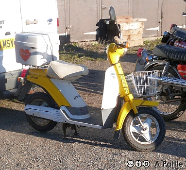 EACC Mince Pie Run, 2026