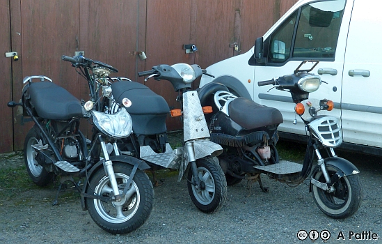 EACC Mince Pie Run, 2026