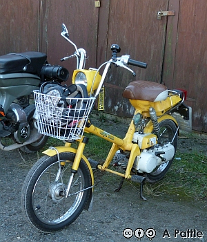 EACC Mince Pie Run, 2026