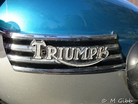 EACC Mince Pie Run, 2026