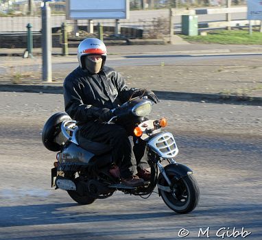 EACC Mince Pie Run, 2026