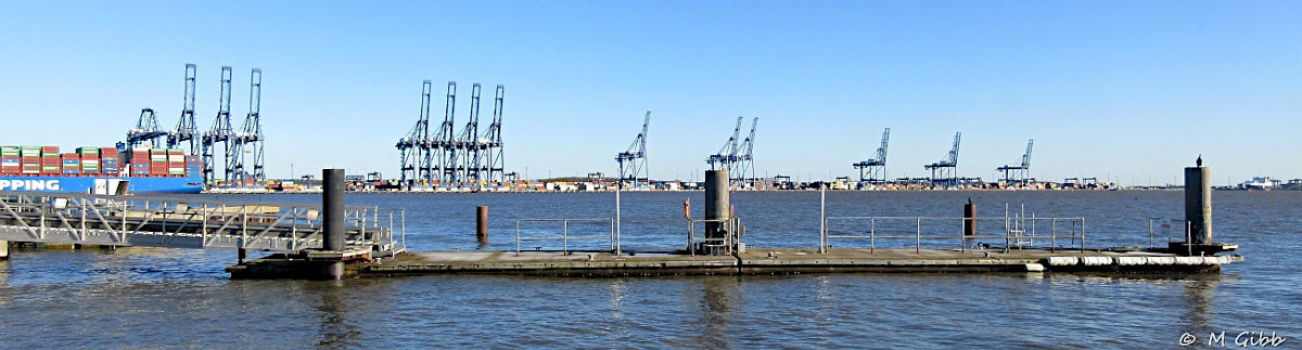 EACC Mince Pie Run, 2026