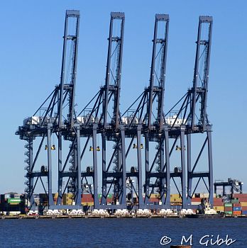 EACC Mince Pie Run, 2026