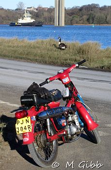 EACC Mince Pie Run, 2026