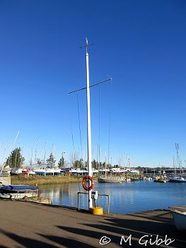 EACC Mince Pie Run, 2026